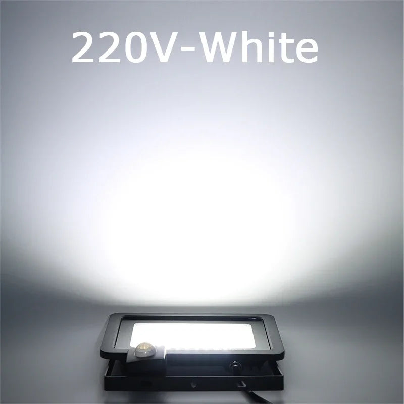 10W 20W 30W 50W 100W Induction Led Flood Light With Adjustable PIR Sensor 110V 220V Floodlight Street Square Outdoor Lighting