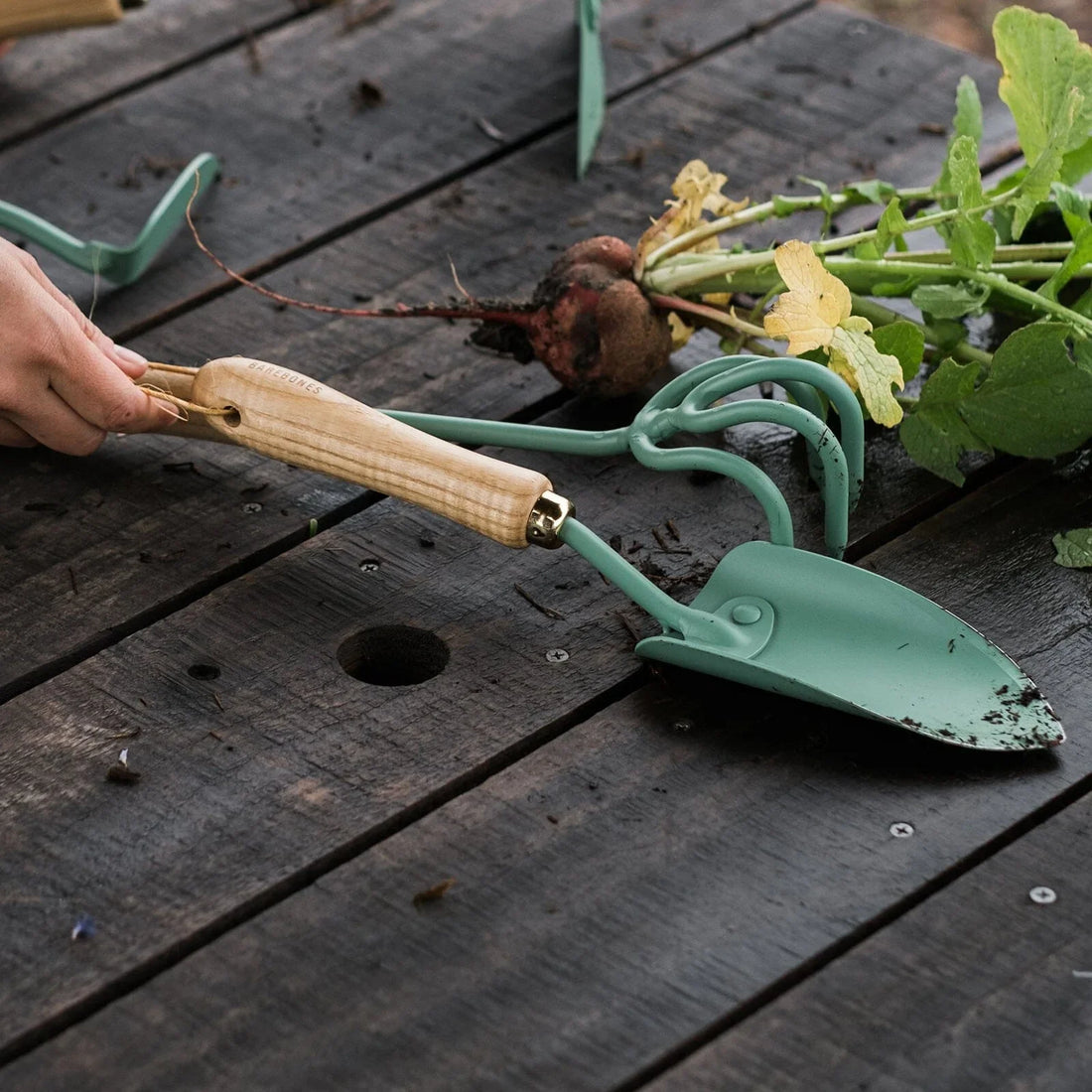 Top 5 Must-Have Quality Home Garden Tools