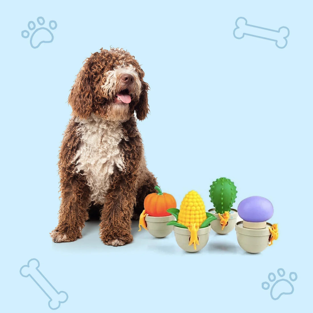 The Ultimate Guide to Safe Play: Top 10 Mistakes When Choosing Pet Toys