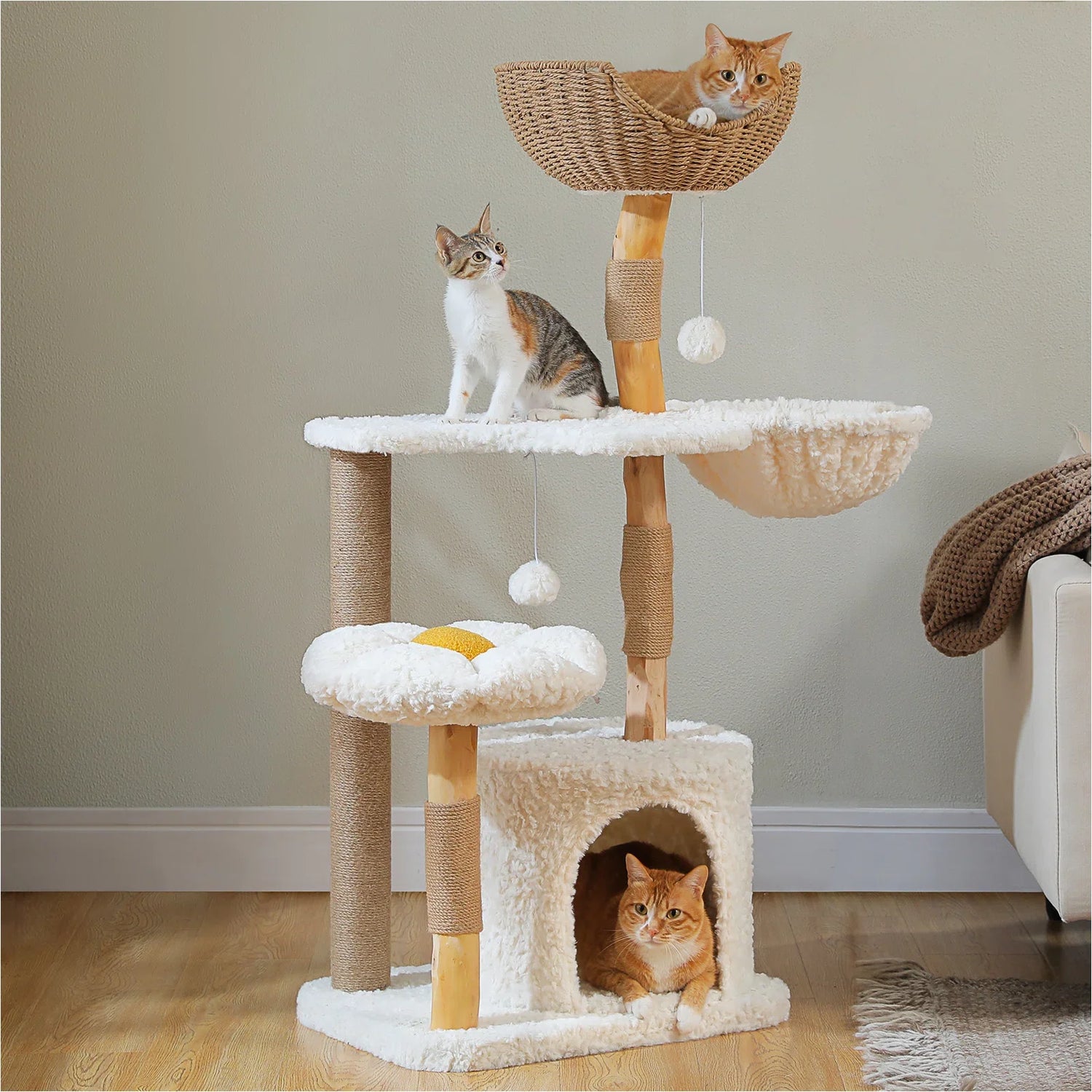 Pet Homes