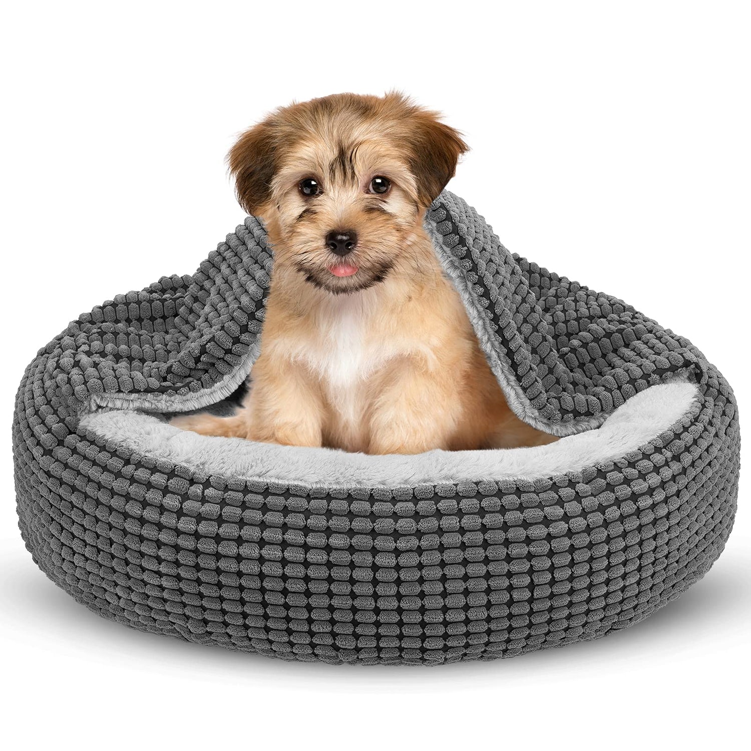 Pet Beds And Blankets