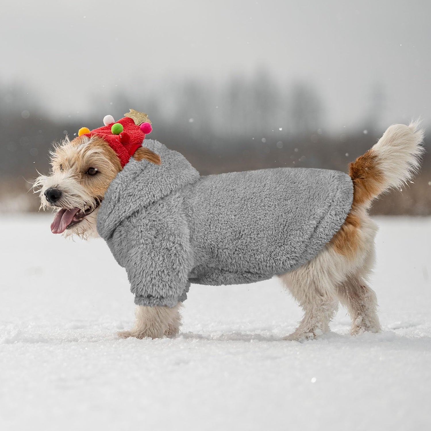 Coats and Sweaters