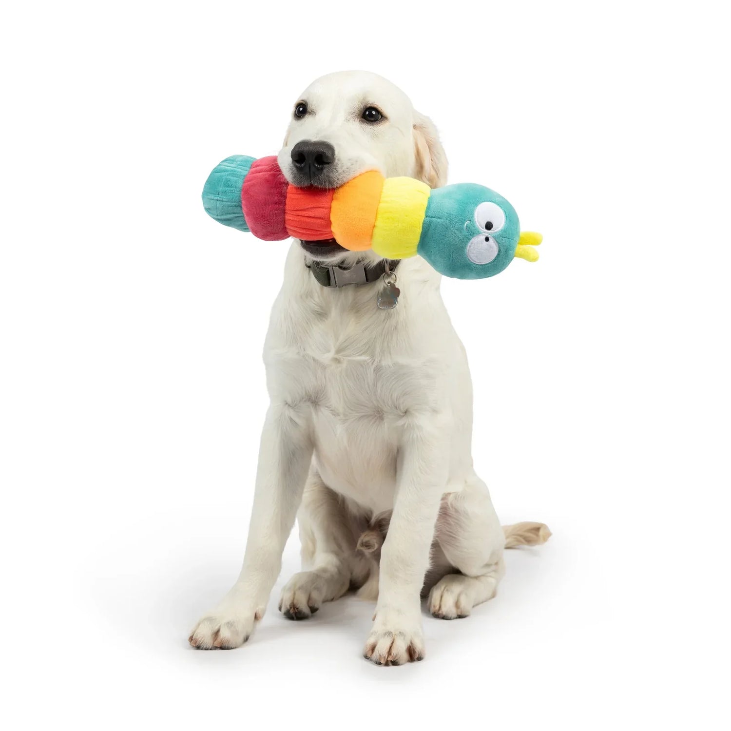 Pet Toys