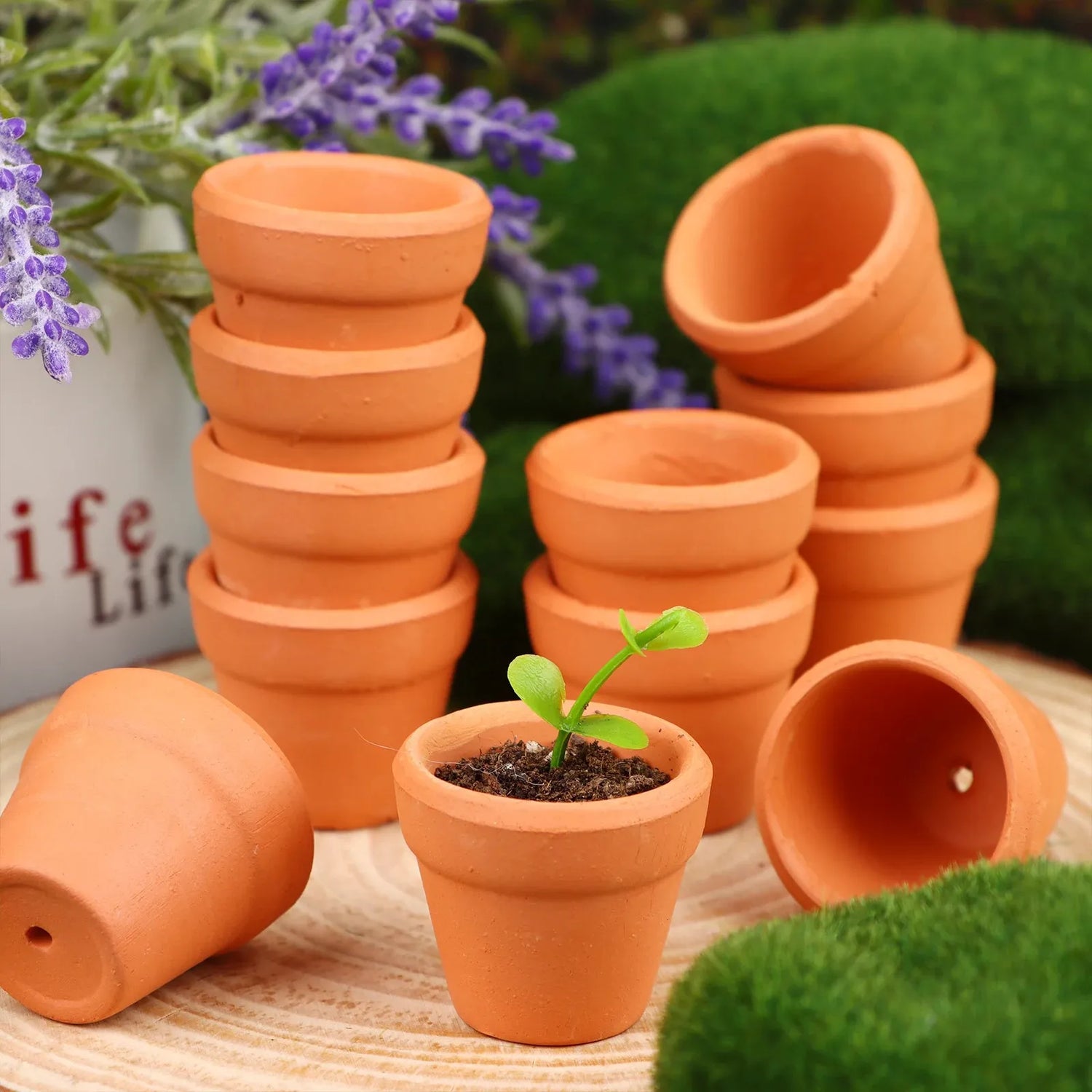 Pots