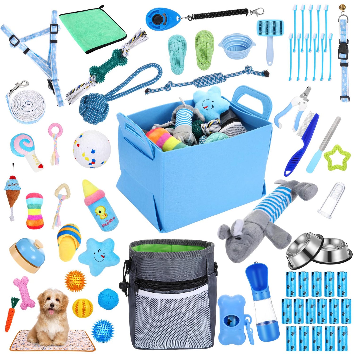 Pet Accessories