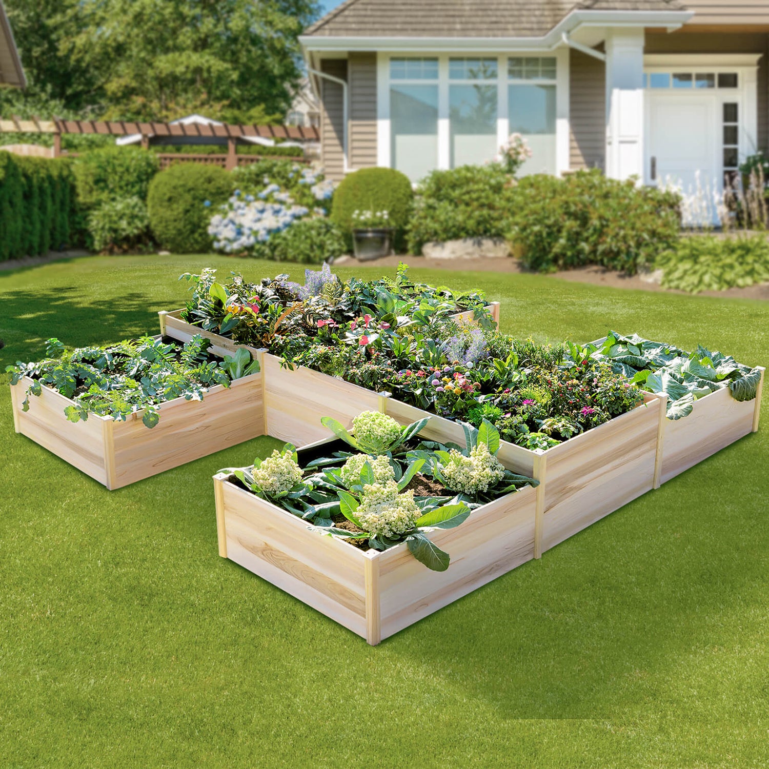 Raised garden beds
