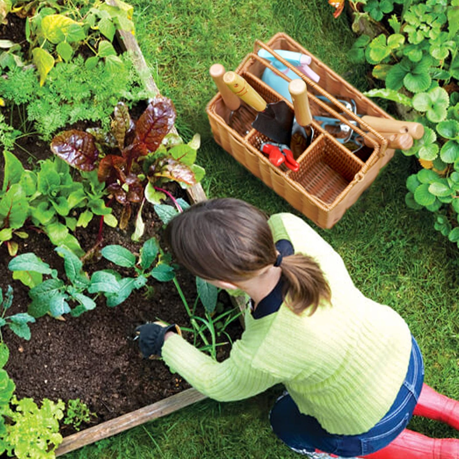 Garden Accessories