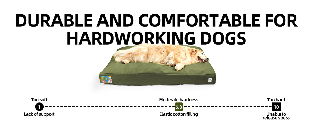 42 Inch Indestructible Canvas Outdoor Dog Bed for Extra Large Dogs, Chew Proof Waterproof Pet Bed with Machine Washable Removable Cover, Durable Indoor Patio Pet Pad for Crate, Green
