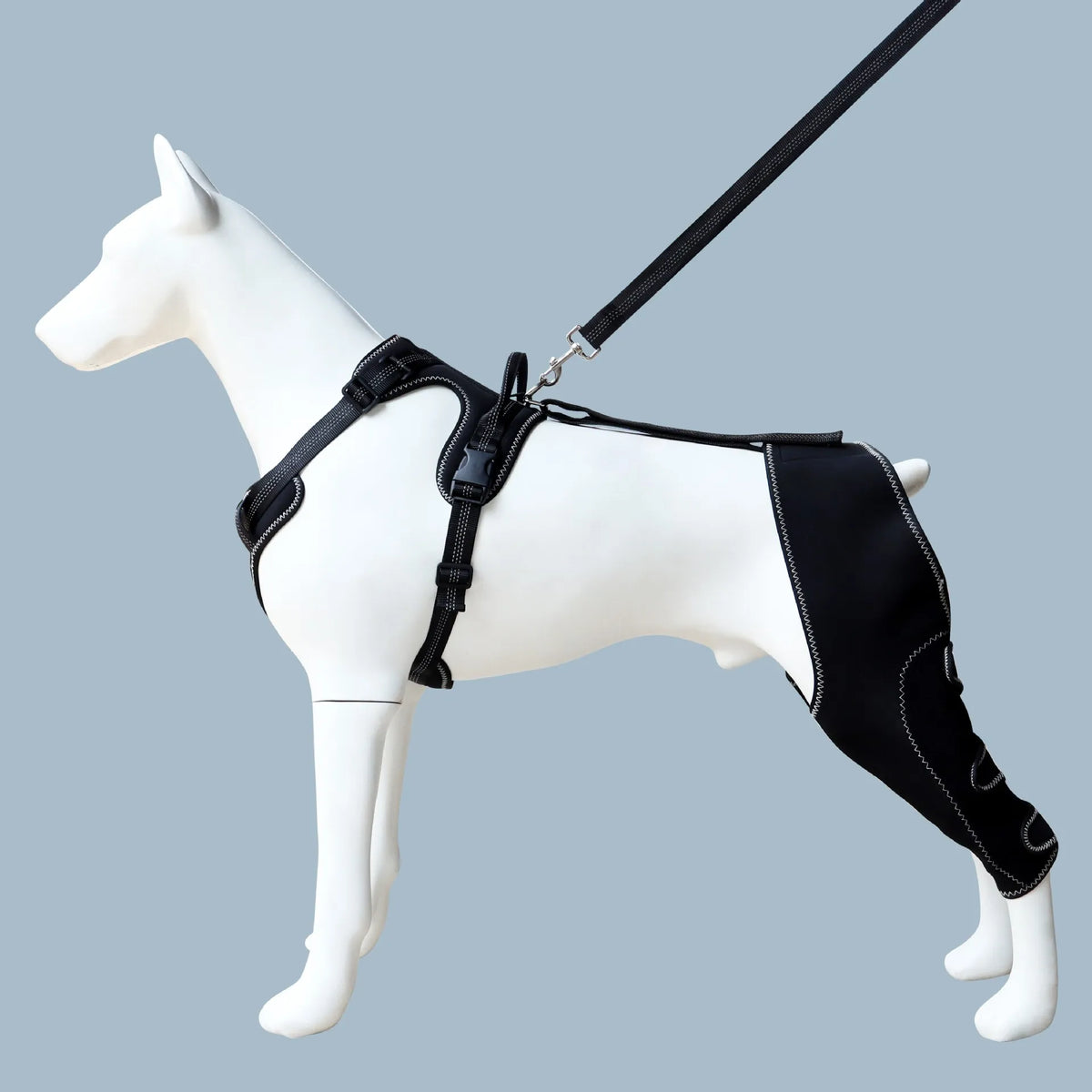Dog Knee Brace Support for Hind Leg with Traction Rope, Adjustable Design For Joint Pain- Right Rear Leg with Integreted Harness