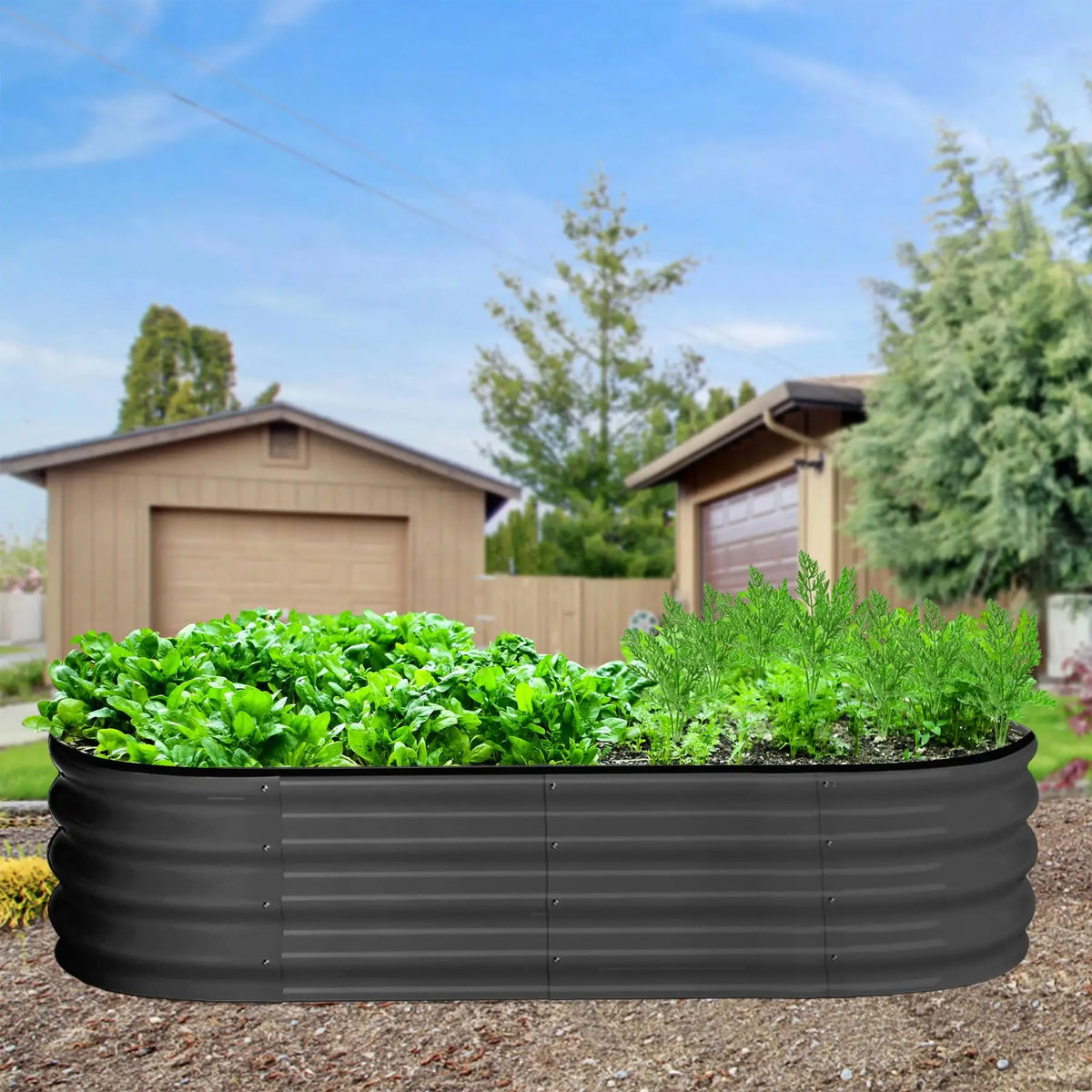 2-Pack Oval Galvanized Steel Raised Garden Bed Open Base Safety Edge Metal Planter Box Raised Beds for Vegetables Flowers Herbs
