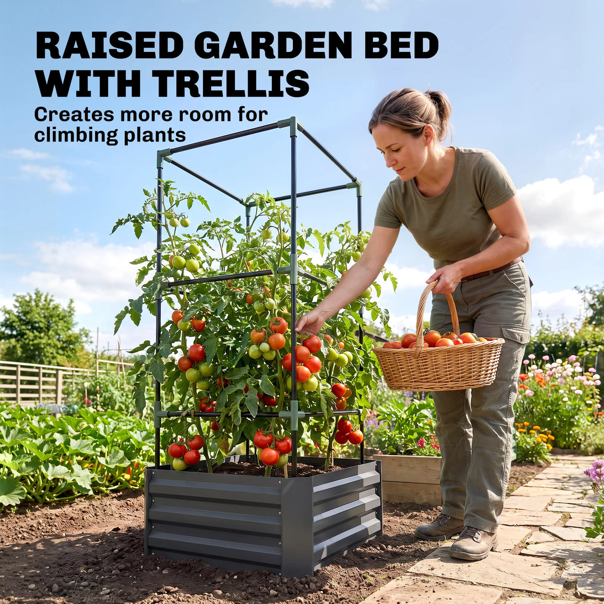 Galvanised Raised Garden Bed with Tomato Cage, Open Bottom, Dark Gray
