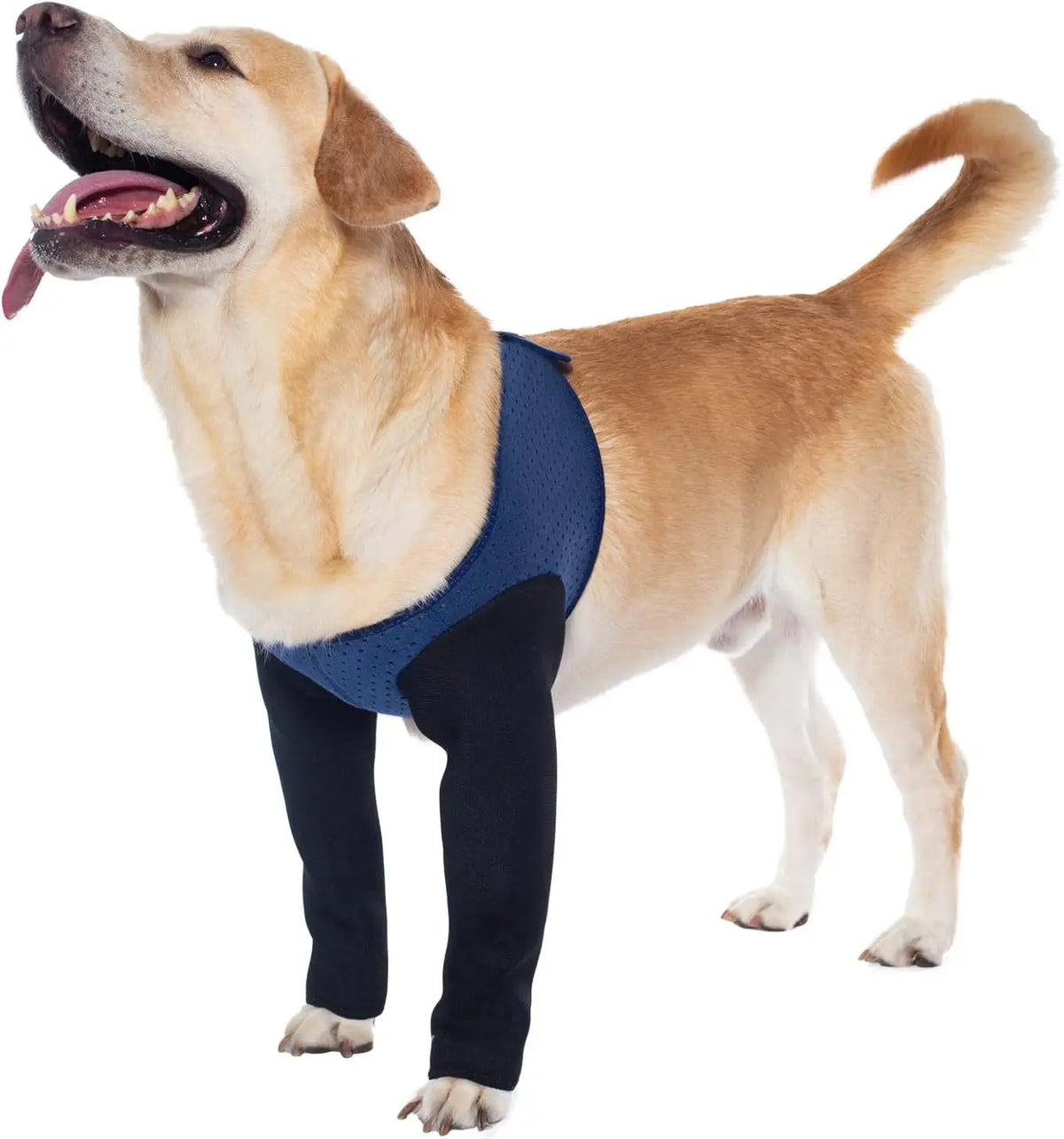 Dog Joint Protector,Front Leg Braces,Breathable Fabric Anti-chew,With Adjustable Paw Supports,Help Better Recovery ACL,XS-XXL