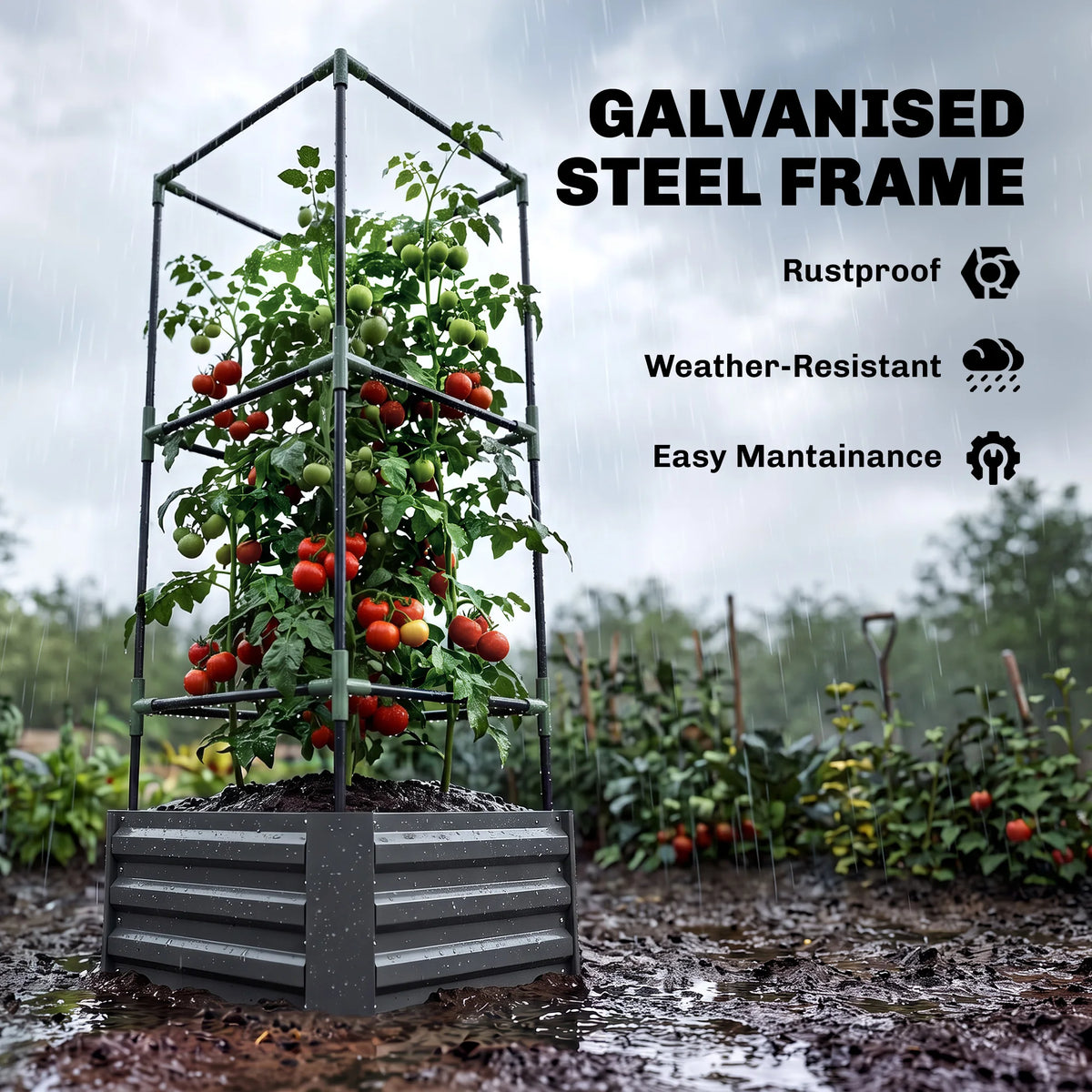 Galvanised Raised Garden Bed with Tomato Cage, Open Bottom, Dark Gray