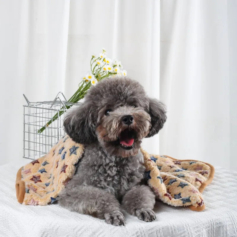 Soft Fluffy High Quality Pet Blanket Flannel Dog Sleeping Blanket Paw Print Pattern Pet Mat Warm Comfortable Blanket for Cat Dog
