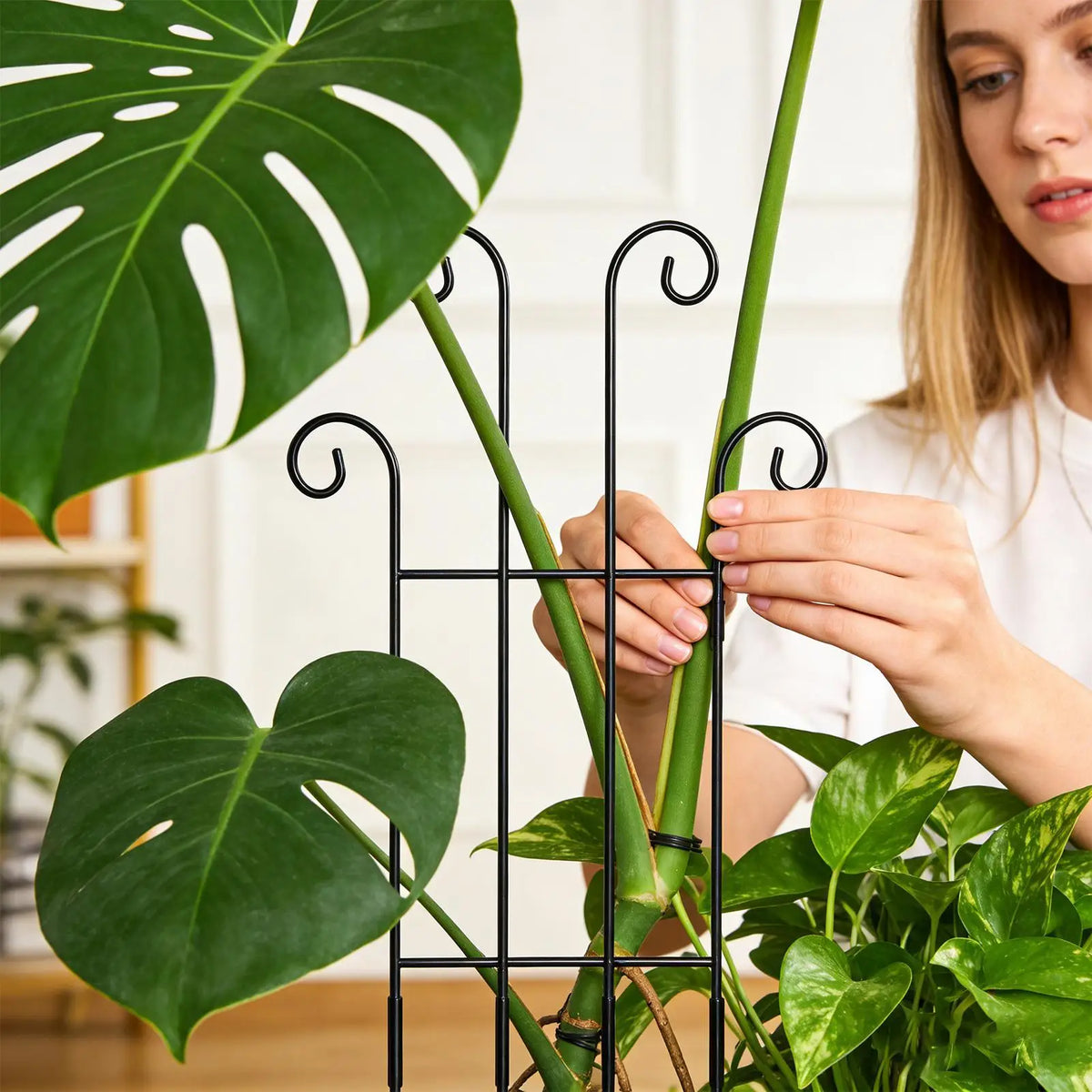 Metal Plant Trellis Indoor Outdoor Vertical Garden Support for Monstera Tomato Vine Ivy Plant Pot Climbing Growth Stake
