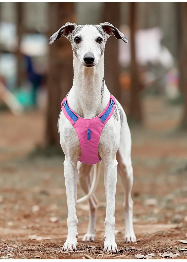 Pet Dog Harness Light Weight Reflective Dog Cat Chest Strap Belt  No Pull Soft Harness Vest Adjustable Outdoor Pets Harness