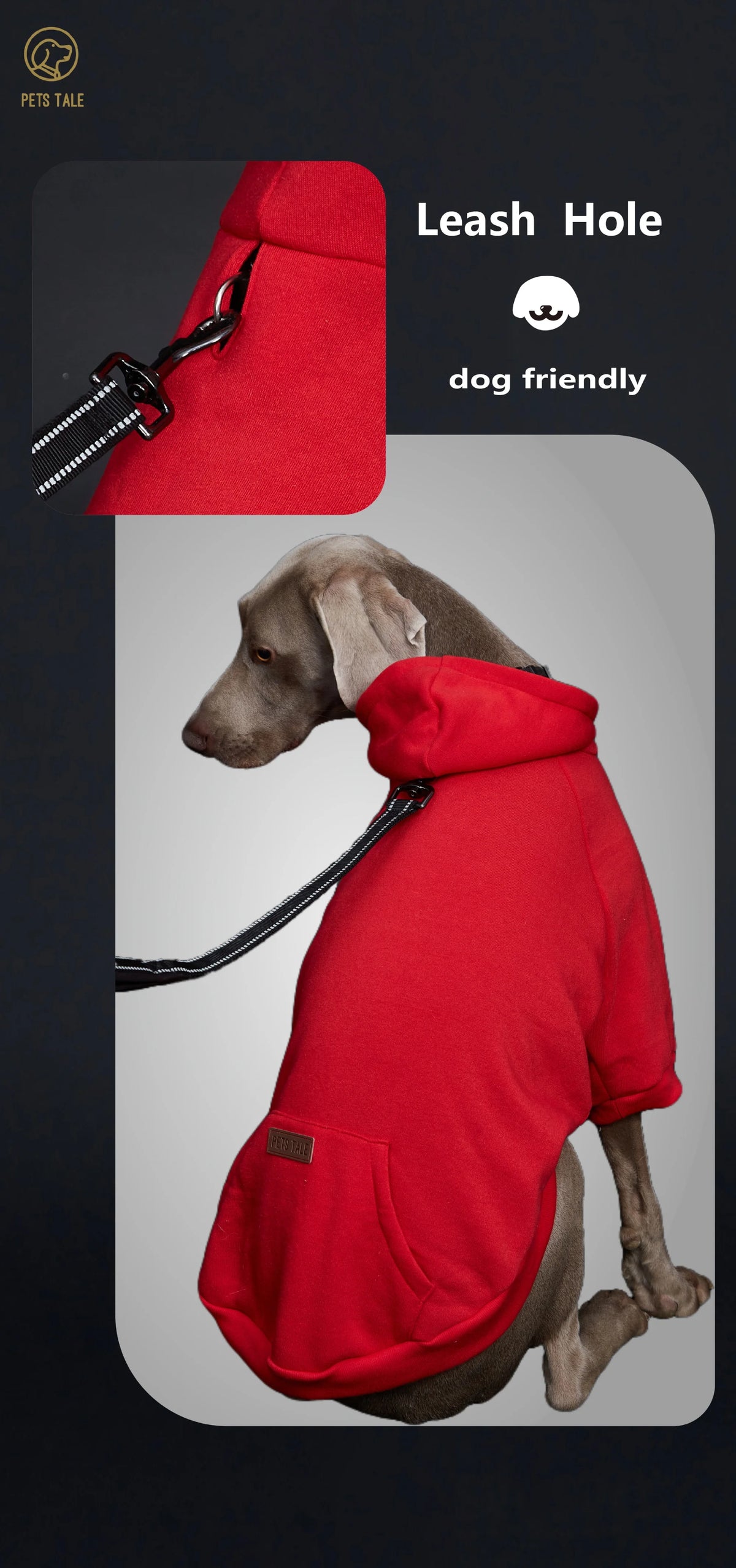 Solid Color Dog Hoodie with Pocket, Leather Patch, Hook and Loop Fastener Collar - Available in 5 Colors