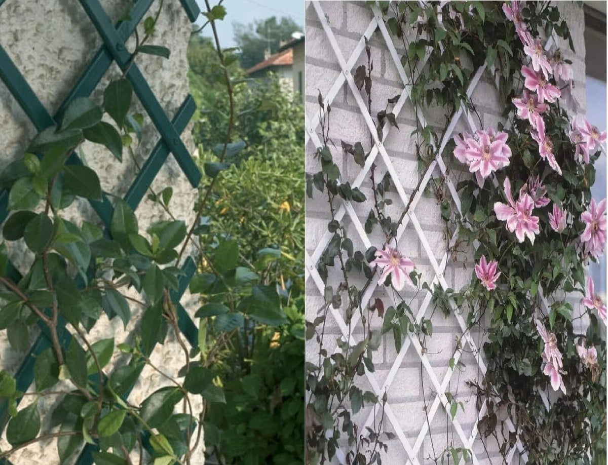 Expandable Garden Trellis, Thickened Plastic Lattice Fence Retractable Plant Support for Climbing Plants Vine Rose Ivy