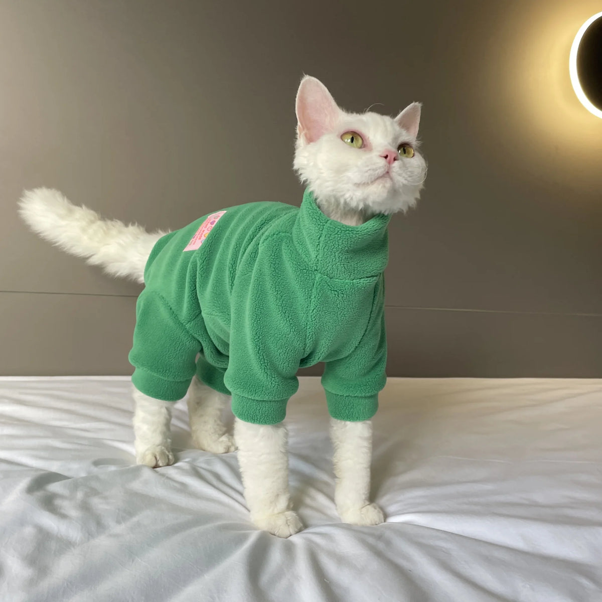 Fleece Coat for Sphynx Cat Warm Sweatshirt 4-legged Jumpsuit for Kittens Dogs soft Loungewear for Male Cat Devon Rex Sweater