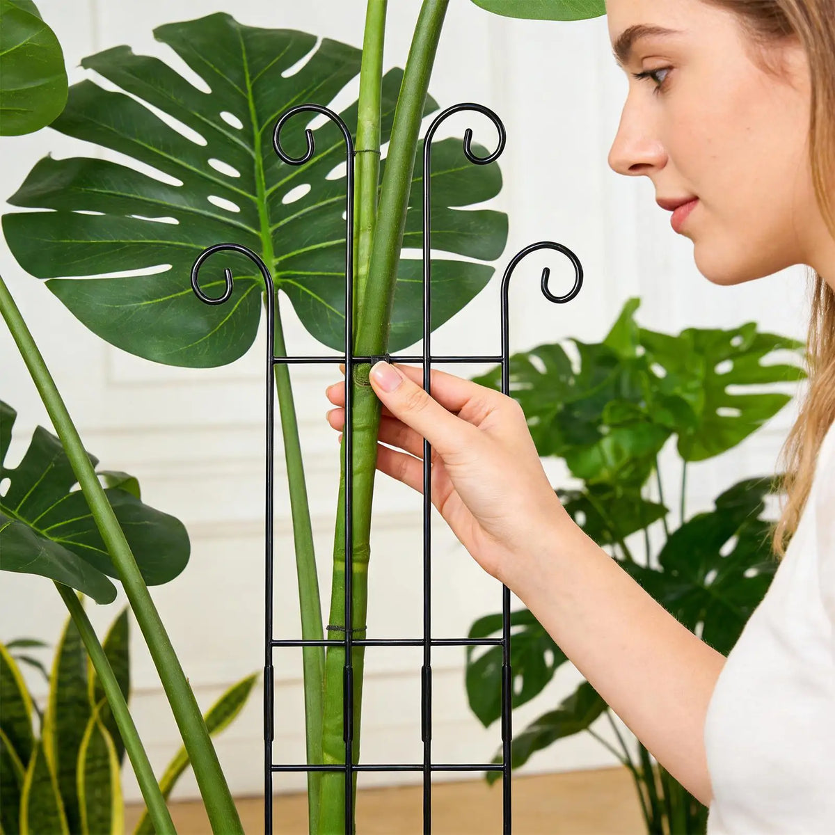 Metal Plant Trellis Indoor Outdoor Vertical Garden Support for Monstera Tomato Vine Ivy Plant Pot Climbing Growth Stake