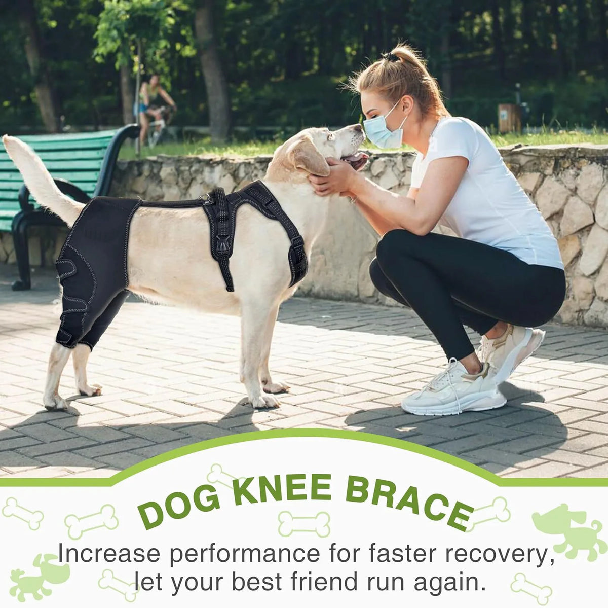 Dog Knee Brace Support for Hind Leg with Traction Rope, Adjustable Design For Joint Pain- Right Rear Leg with Integreted Harness