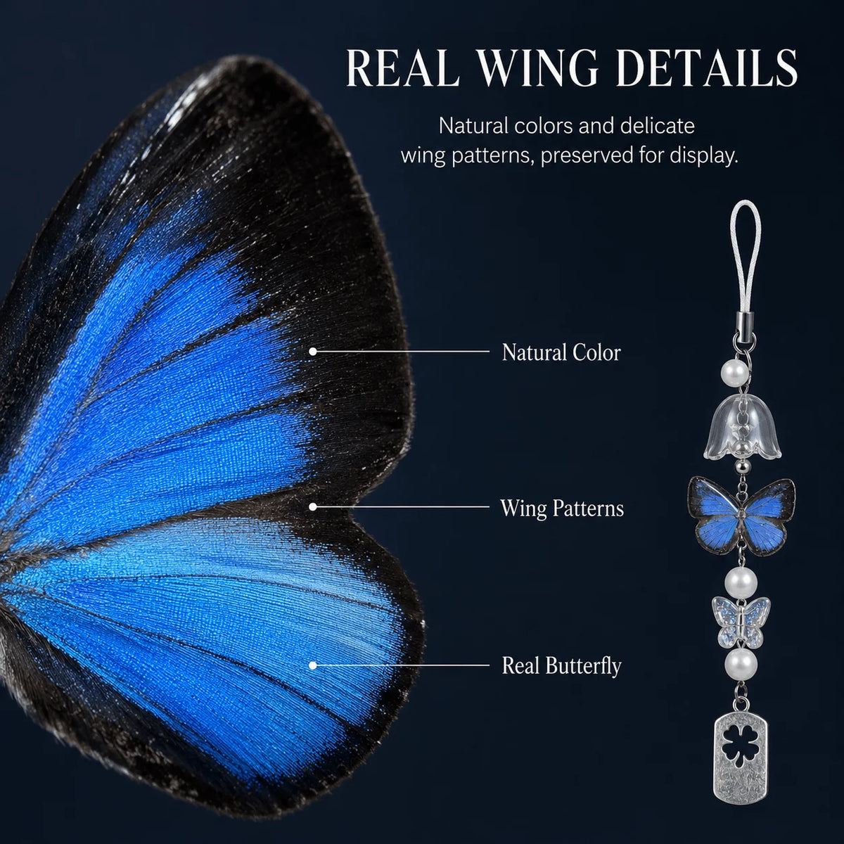 Real Butterfly Specimen Wind Chime, Blue Butterfly Hanging Decor, Nature-Inspired Ornament for Home & Gift