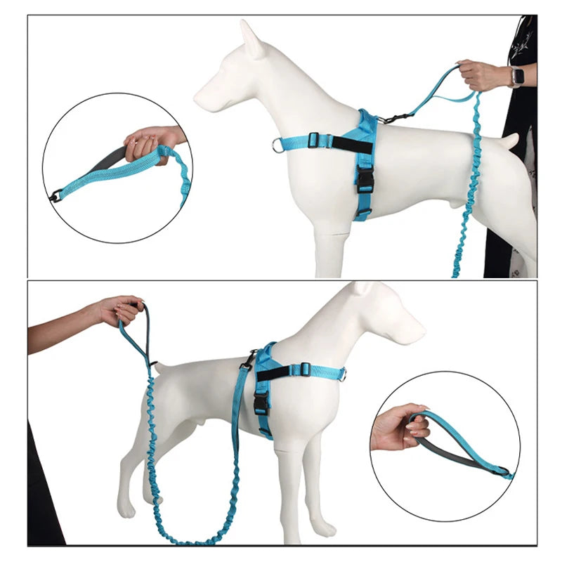 High Elasticity Double Handle Dog Tactical Leash Explosion-proof No Tangle Outdoor Training Walking Nylon Dog Leashes Dogs Items