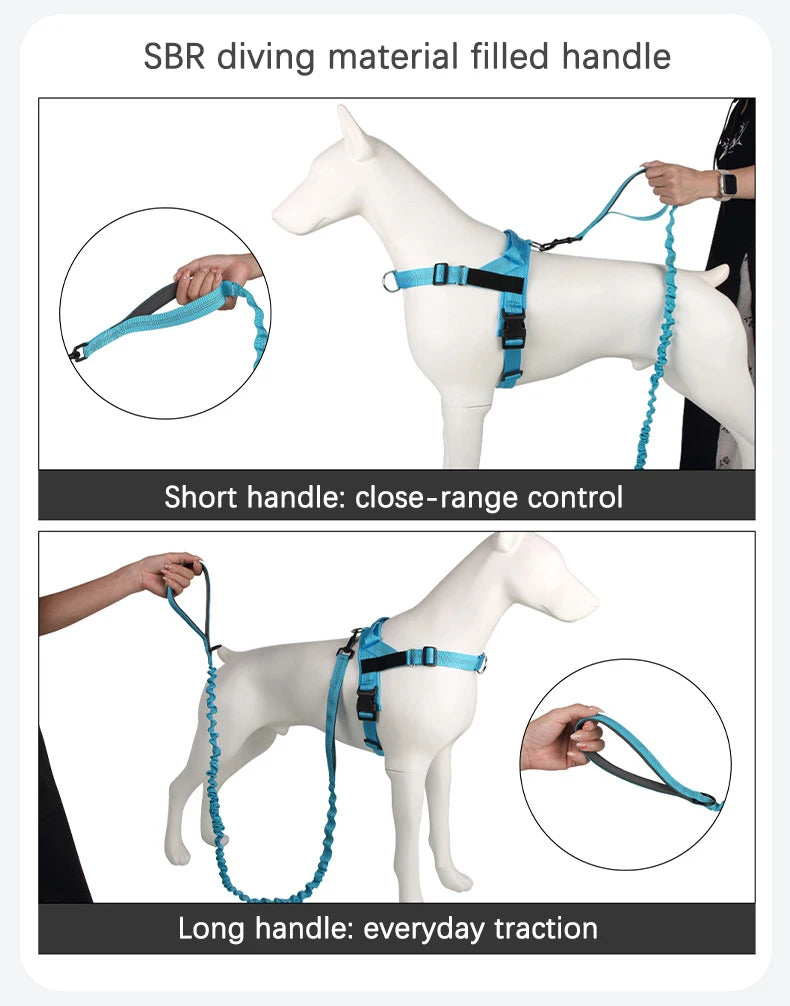 High Elasticity Double Handle Dog Tactical Leash Explosion-proof No Tangle Outdoor Training Walking Nylon Dog Leashes Dogs Items