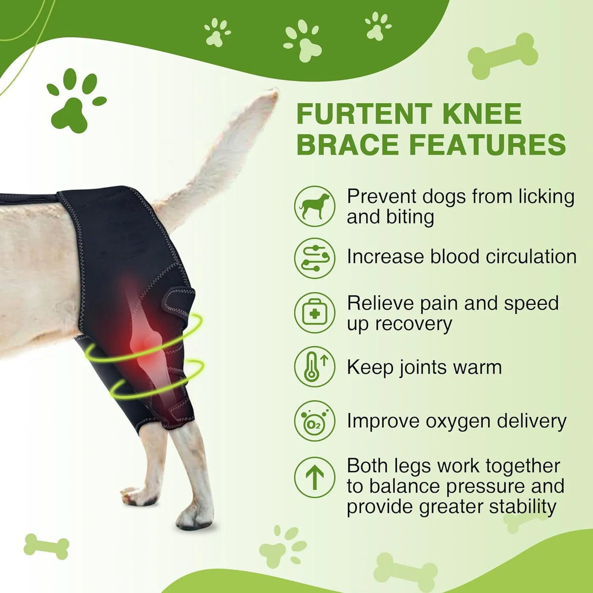 Dog Knee Brace Support for Hind Leg with Traction Rope, Adjustable Design For Joint Pain- Right Rear Leg with Integreted Harness