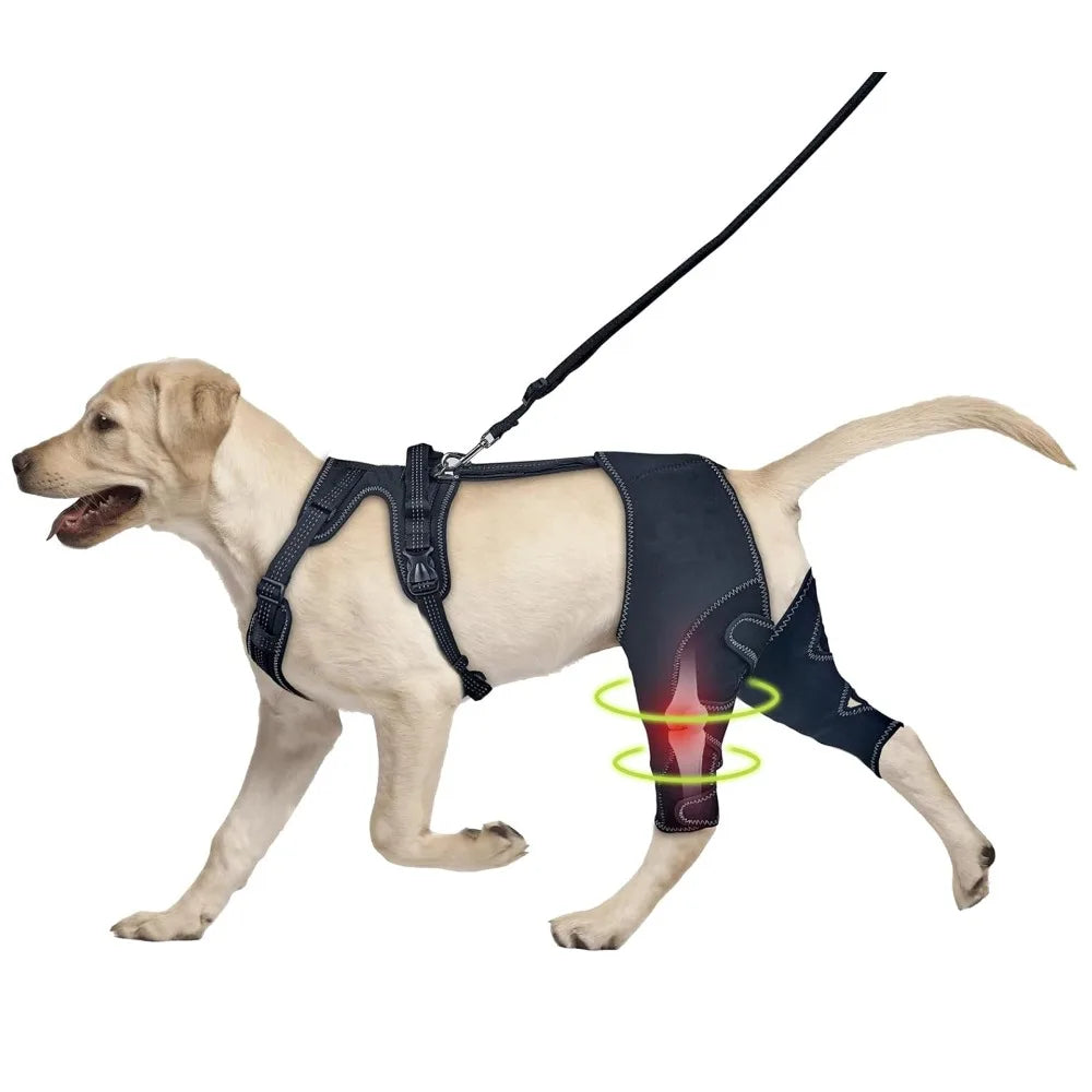 Dog Knee Brace Support for Hind Leg with Traction Rope, Adjustable Design For Joint Pain- Right Rear Leg with Integreted Harness