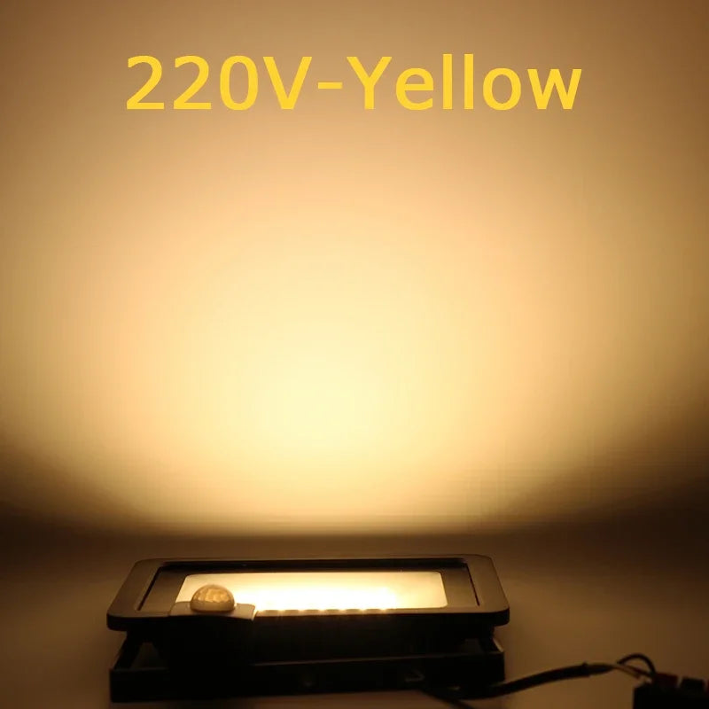 10W 20W 30W 50W 100W Induction Led Flood Light With Adjustable PIR Sensor 110V 220V Floodlight Street Square Outdoor Lighting