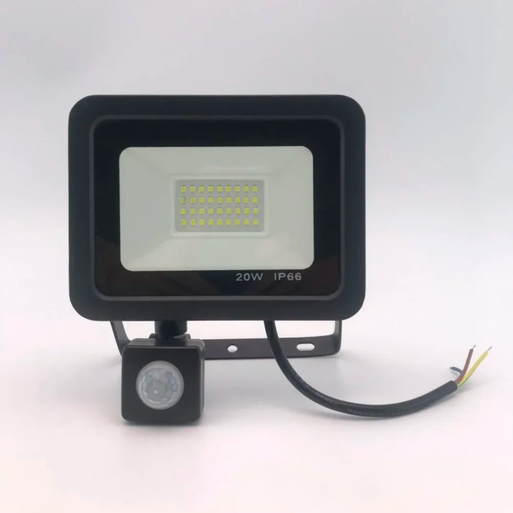10W 20W 30W 50W 100W Induction Led Flood Light With Adjustable PIR Sensor 110V 220V Floodlight Street Square Outdoor Lighting