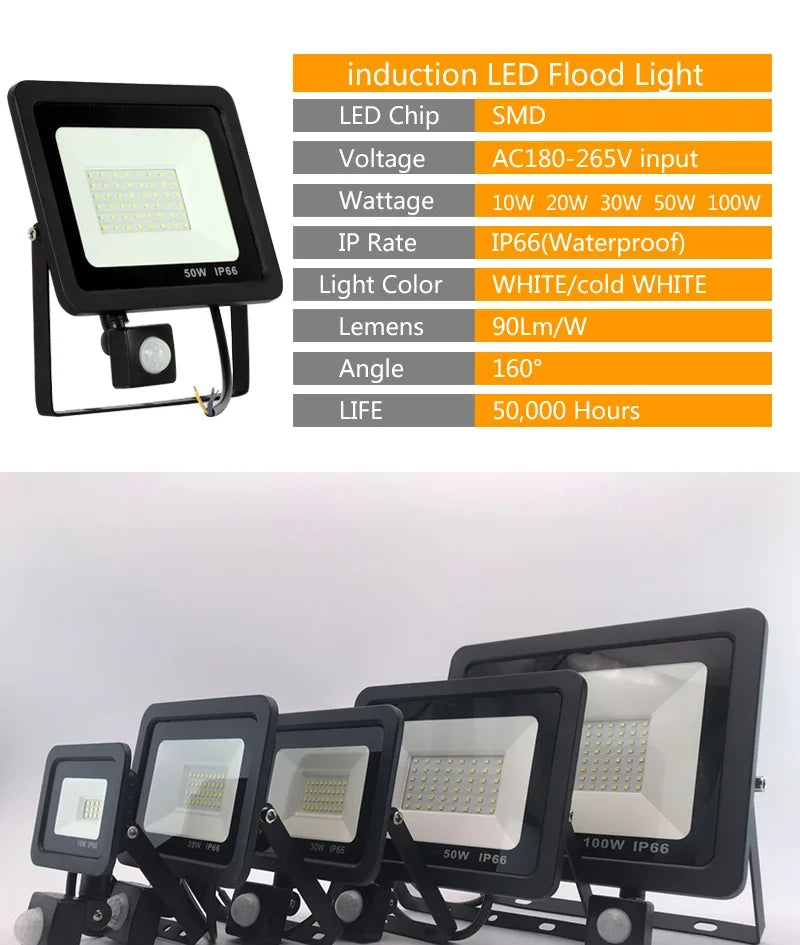 10W 20W 30W 50W 100W Induction Led Flood Light With Adjustable PIR Sensor 110V 220V Floodlight Street Square Outdoor Lighting