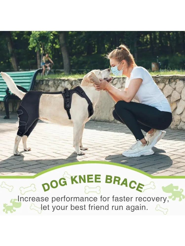 Dog Knee Brace Support for Hind Leg with Traction Rope, Adjustable Design For Joint Pain- Right Rear Leg with Integreted Harness