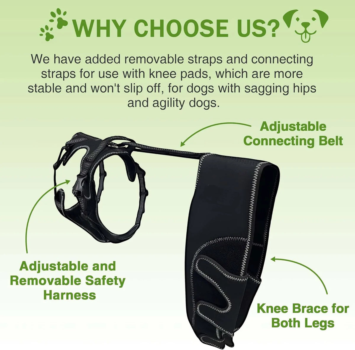 Dog Knee Brace Support for Hind Leg with Traction Rope, Adjustable Design For Joint Pain- Right Rear Leg with Integreted Harness