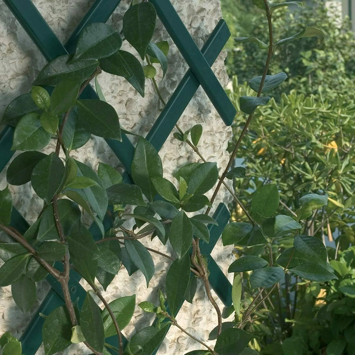 Expandable Garden Trellis, Thickened Plastic Lattice Fence Retractable Plant Support for Climbing Plants Vine Rose Ivy