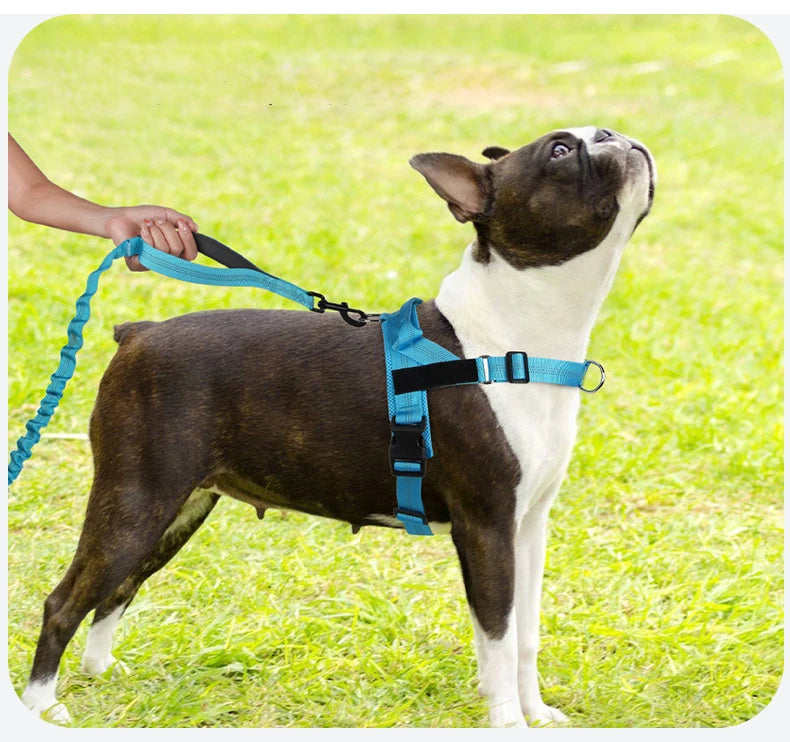 High Elasticity Double Handle Dog Tactical Leash Explosion-proof No Tangle Outdoor Training Walking Nylon Dog Leashes Dogs Items