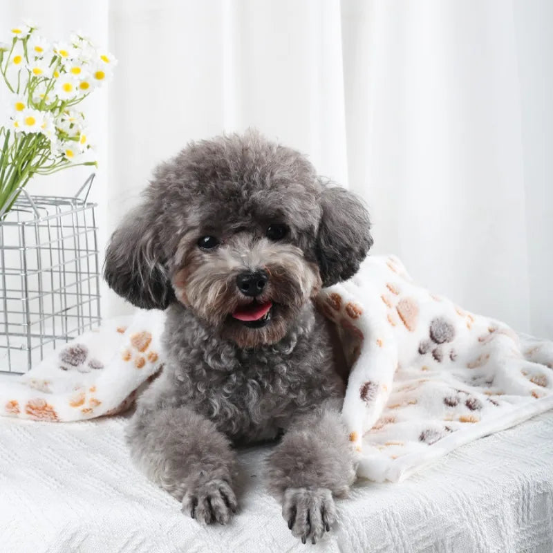 Soft Fluffy High Quality Pet Blanket Flannel Dog Sleeping Blanket Paw Print Pattern Pet Mat Warm Comfortable Blanket for Cat Dog