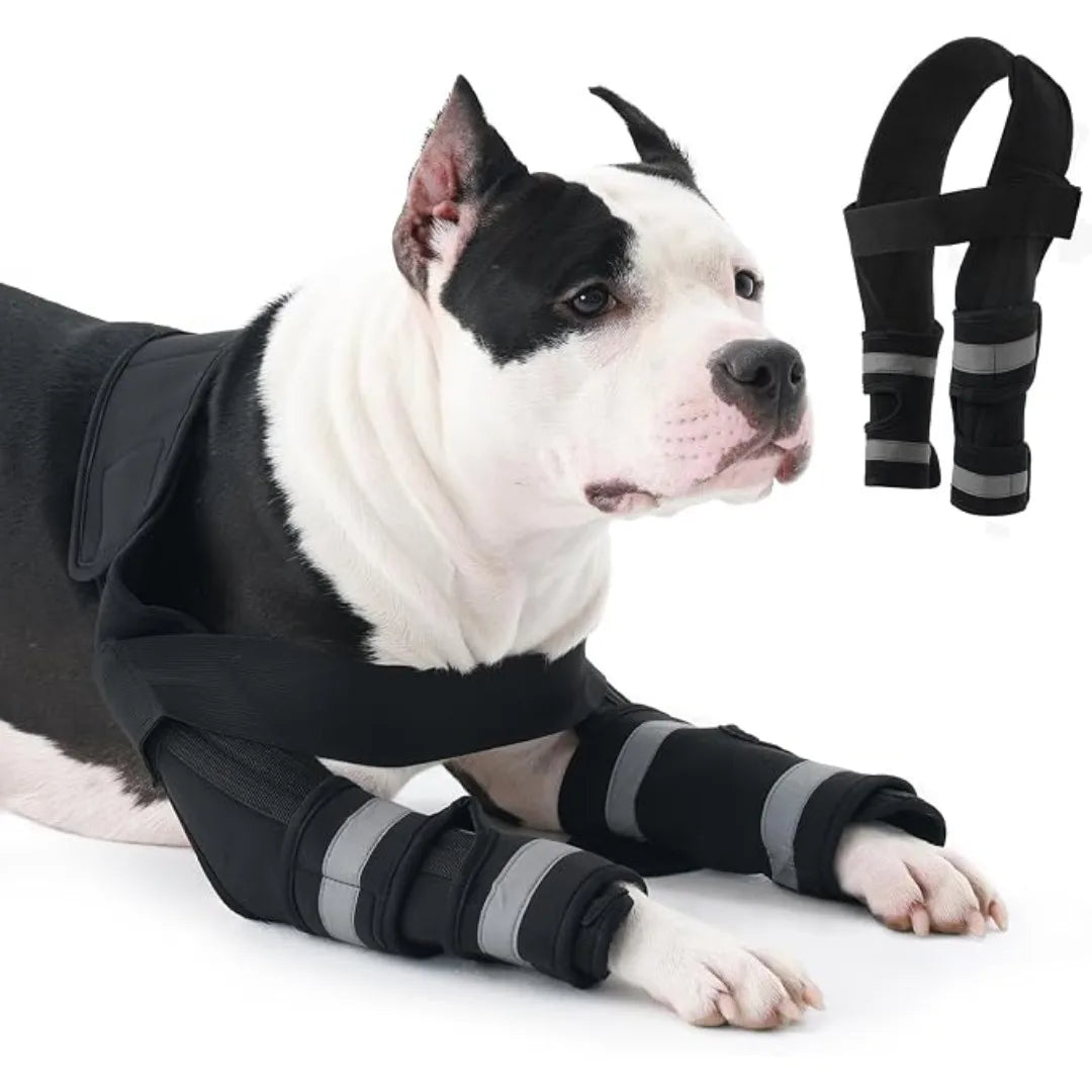 Dog Leg Brace for Front, Dogs Elbow Protector with Hook-Loop Fastening Elbow Brace for Joint Support Walking Assistance,Dropship