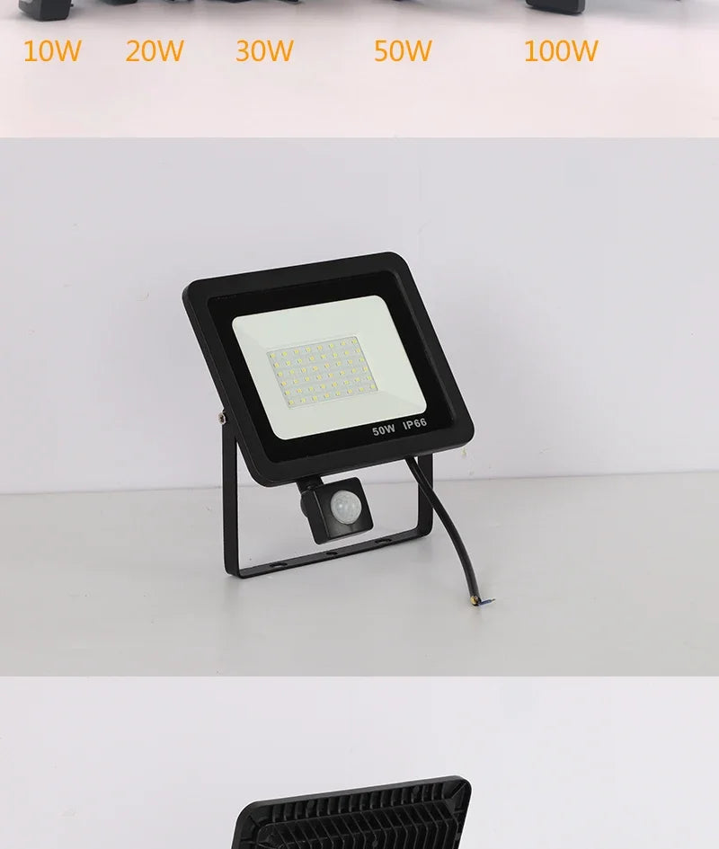 10W 20W 30W 50W 100W Induction Led Flood Light With Adjustable PIR Sensor 110V 220V Floodlight Street Square Outdoor Lighting