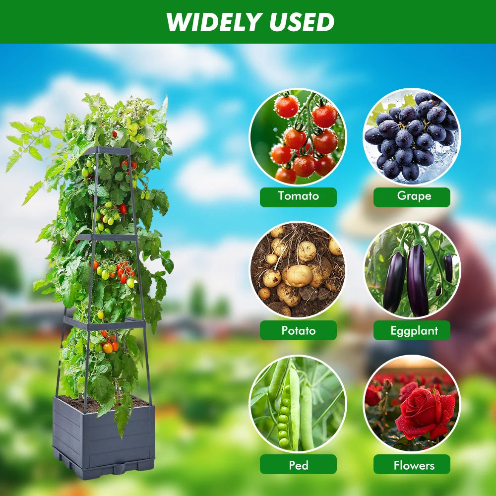Self Watering Tomato Planter Box with Trellis Support Frame Square Raised Garden Bed Self Irrigation Plant Growing Pot for Vegetable Fruit Flower Patio Balcony