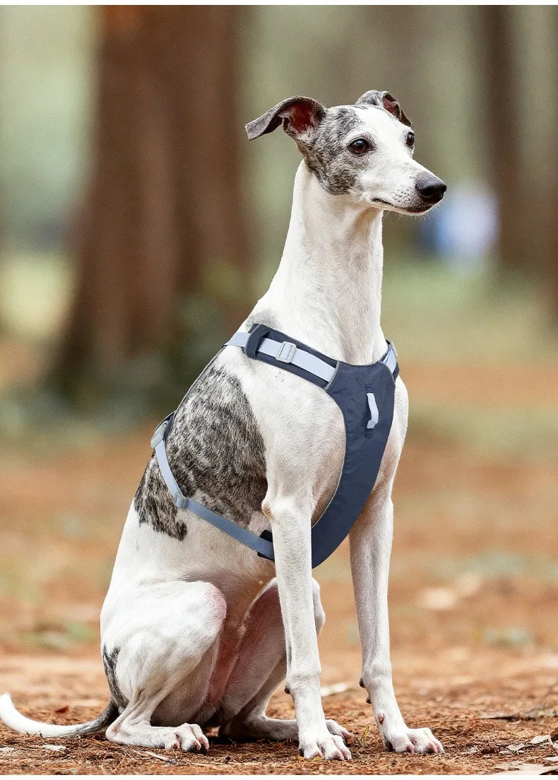 Pet Dog Harness Light Weight Reflective Dog Cat Chest Strap Belt  No Pull Soft Harness Vest Adjustable Outdoor Pets Harness