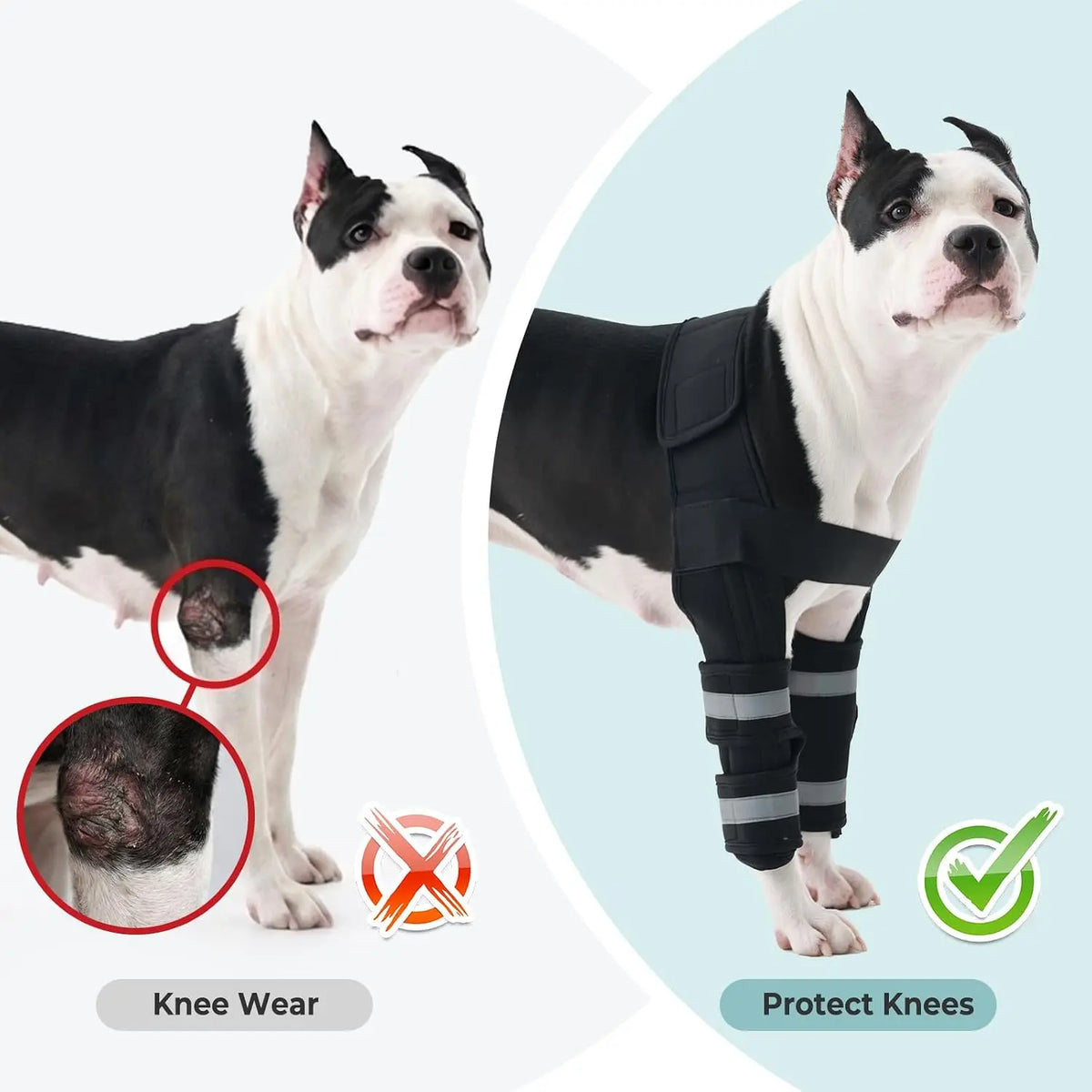 Dog Leg Brace for Front, Dogs Elbow Protector with Hook-Loop Fastening Elbow Brace for Joint Support Walking Assistance,Dropship