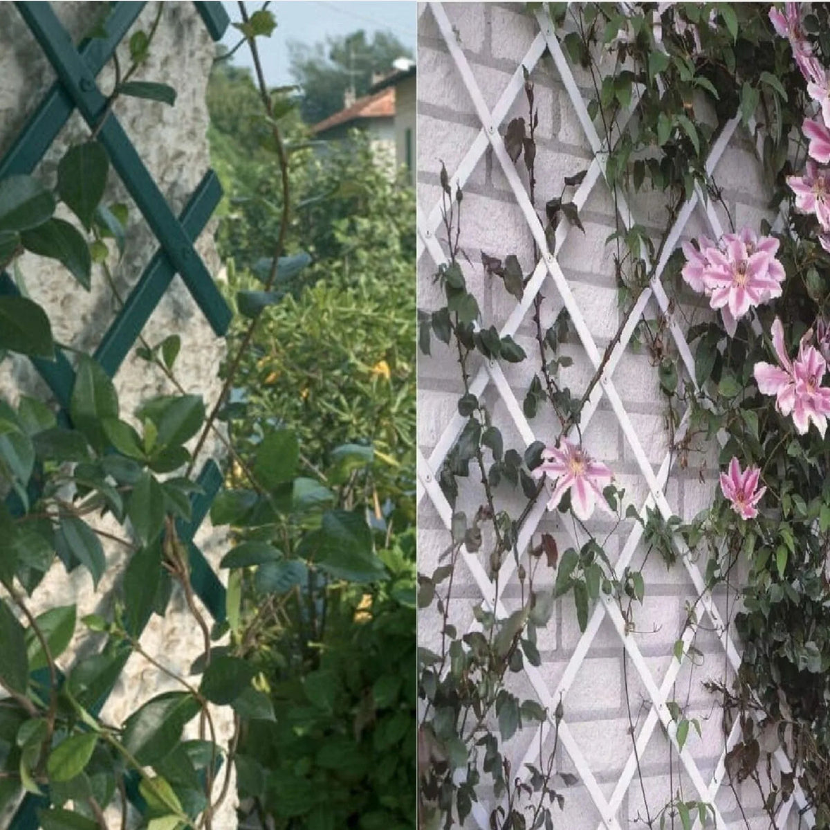 Expandable Garden Trellis, Thickened Plastic Lattice Fence Retractable Plant Support for Climbing Plants Vine Rose Ivy