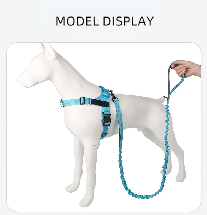 High Elasticity Double Handle Dog Tactical Leash Explosion-proof No Tangle Outdoor Training Walking Nylon Dog Leashes Dogs Items