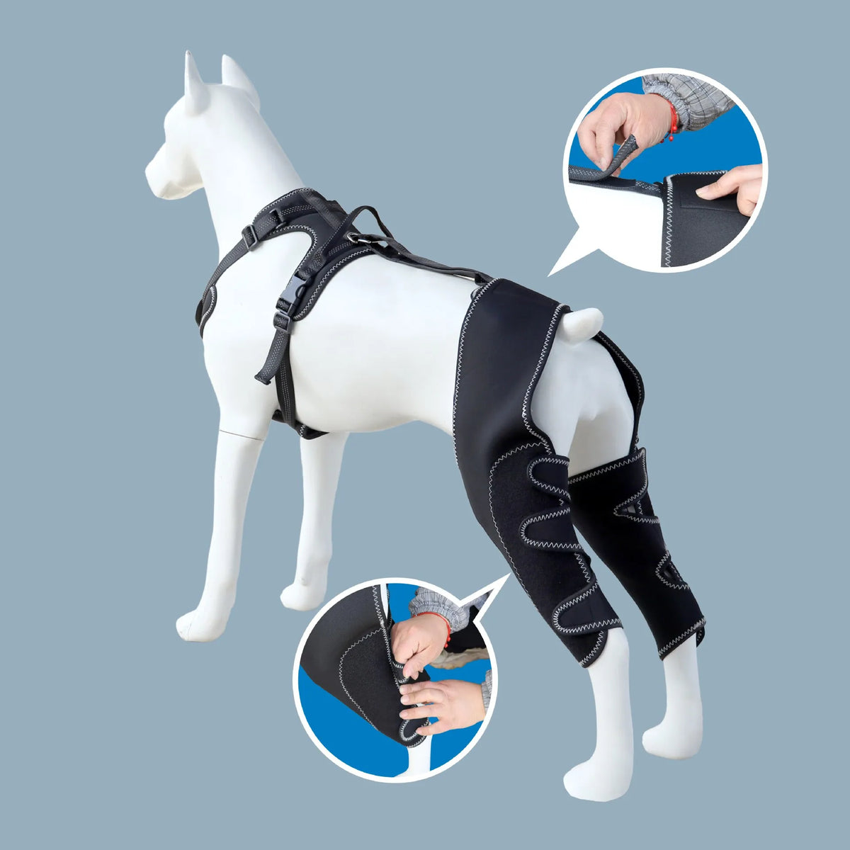 Dog Knee Brace Support for Hind Leg with Traction Rope, Adjustable Design For Joint Pain- Right Rear Leg with Integreted Harness