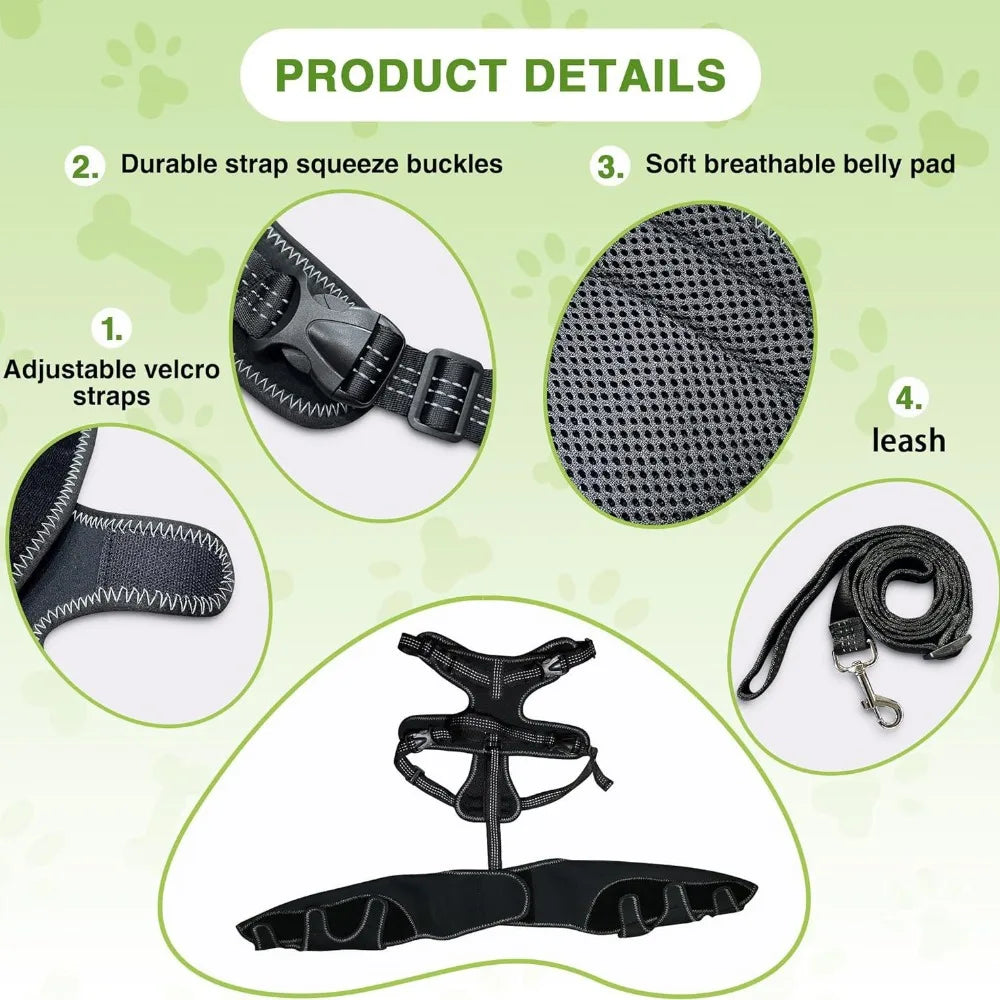 Dog Knee Brace Support for Hind Leg with Traction Rope, Adjustable Design For Joint Pain- Right Rear Leg with Integreted Harness