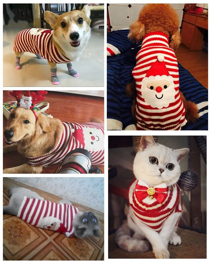 Christmas Dog Sweater for Small Dogs - Santa Claus Knit Pet Clothes for Poodle Teddy Puppy, Cute Warm Xmas Puppy Outfit