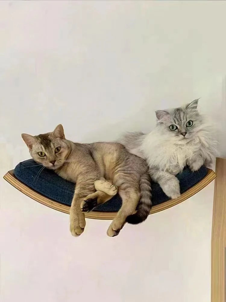 Solid Wood Cat Climbing Frame Wall Hanging Cats Nest Cat Tree Jumping Platform Not Easily Deformed Pet Furniture Products
