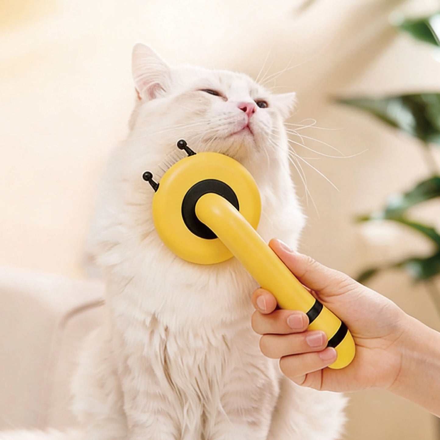 Dog Hair Remover Brush Long Hair Grooming Comb Pet Removes Hairs Cleaning Bath Brush